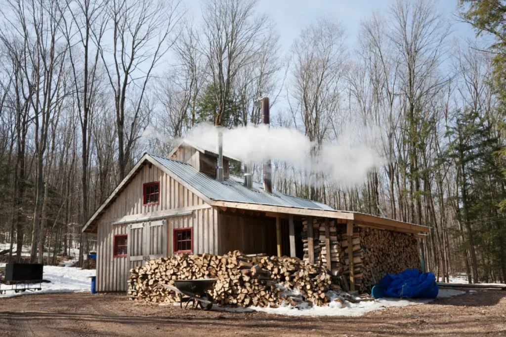 Modern Barn House Style in Australia